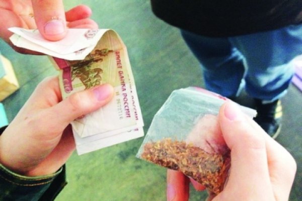 Где взять ссылку кракена