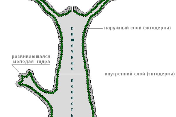 Кракен маркерлейс оф вход